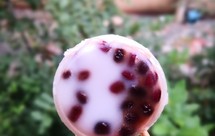 粘米粉做的传统砵仔糕