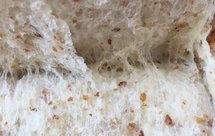 冷藏发酵中种法小麦胚芽庞多米吐司