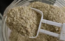 术后营养餐 小麦胚芽鸡蛋粥