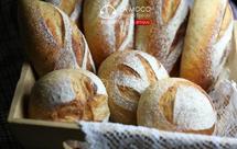 低油糖好健康-小麦胚芽软欧包