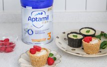 免烤乳酪流心挞