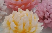 夹馅水晶菊花 *水晶饺系列R