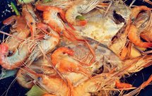 沼虾鲳鱼绝顶鲜