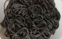 最简单版本凉拌蕨根粉