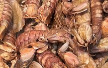 简单油爆秋天皮皮虾