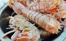 蒸皮皮虾（皮皮虾的剥法）