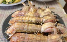 时令系列之皮皮虾～虾爬子