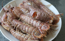 清蒸皮皮虾