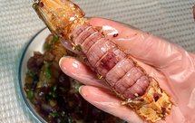 年夜饭之椒盐皮皮虾