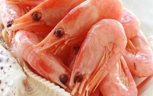 北极甜虾到底要不要煮一下再吃