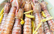 清蒸皮皮虾 赖尿虾