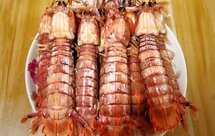 清蒸，鲜嫩美味皮皮虾～