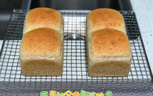 葡萄种全麦胚芽吐司