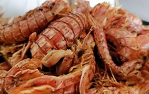 最正宗的椒盐皮皮虾