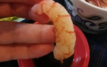 呛虾（生腌海虾）简直太美味了