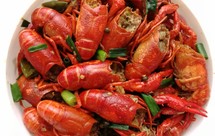 火锅底料版本麻辣小龙虾