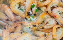 无油无水焗海虾/白灼虾