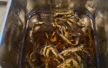 日式上海虾籽葱油