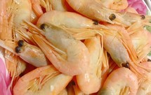 巨巨巨简单又可当零嘴的北极甜虾做法