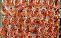 烤虾干（烤箱版/微波炉）