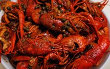 肉不散的麻辣小龙虾干货满满