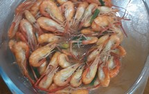 清煮河虾煮好的虾可以蘸酱汁