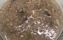 香菇西芹鲍鱼干贝粥（减肥版）