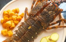 学霸的爱！龙虾瑶柱海鲜粥必收藏 干贝粥龙虾粥瑶柱粥