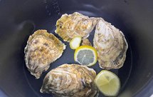 电压力锅炖生蚝