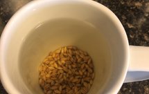 大麦茶或荞麦茶