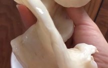 澳洲雪鳌鱼 花胶 泡发