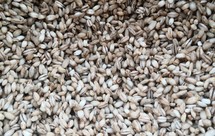 大麦米变大麦面