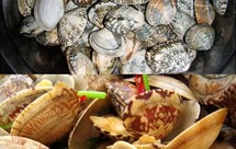 嘎啦最原始的做法