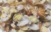 辣炒蛤蜊（嘎啦）