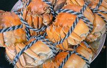 清蒸大闸蟹只要15分钟搞定腿肉一吸就出来哒！