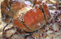 【0225】盐焗大闸蟹(烤箱版) <302小厨房>