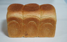 100%全麦鸡蛋吐司 直接法 王后细麸细粒 纯全麦依然软到下腰