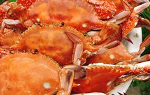 清蒸螃蟹（梭子蟹）