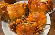 清蒸大闸蟹