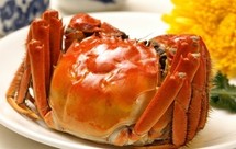 大闸蟹怎么吃?吃法全攻略