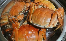 清蒸大闸蟹(确定过味道,是秋天来了)