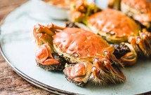 清蒸大闸蟹:附姜醋汁做法