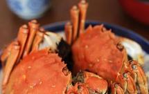 清蒸大闸蟹