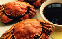 清蒸大闸蟹
