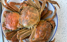 清蒸大闸蟹