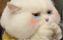 熟黄豆粉的消耗之路