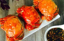 独家/清蒸大闸蟹
