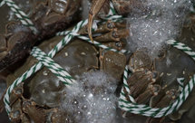 如何挑选大闸蟹【简单易上手，超详细】