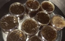 麦芽糖2018爱上「麦芽糖」