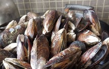 零厨艺：原味海虹